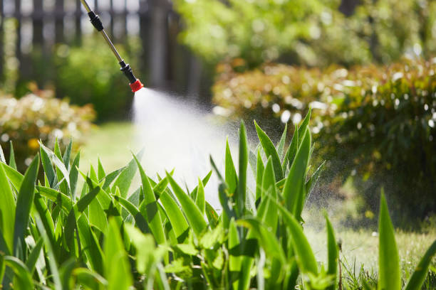 24/7 Emergency Ant Control experts in East Tawas, MI